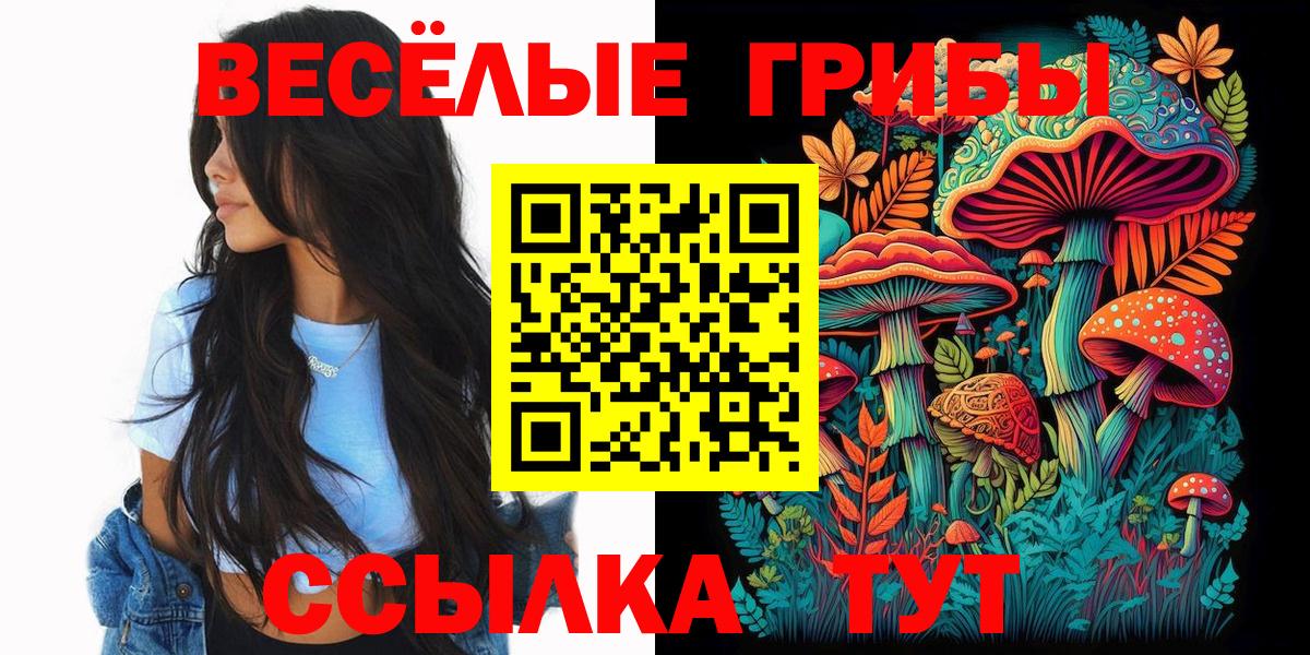 Бутурлиновка  Галлюциногенные грибы ЛСД  Вход с VPN  наркошоп  Псилоцибиновые грибы Psilocybine cubensis 