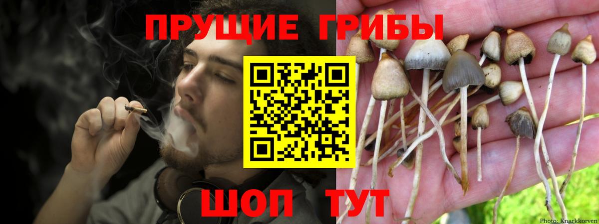 Галлюциногенные грибы Cubensis Бутурлиновка